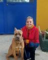 Akem Alanya Köpek Oteli ve Eğitim Merkezi