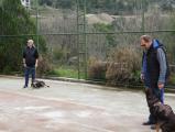 Akem Alanya Köpek Oteli ve Eğitim Merkezi
