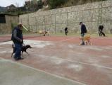 Akem Alanya Köpek Oteli ve Eğitim Merkezi