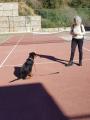 Akem Alanya Köpek Oteli ve Eğitim Merkezi