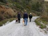 Akem Alanya Köpek Oteli ve Eğitim Merkezi