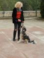 Akem Alanya Köpek Oteli ve Eğitim Merkezi