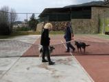 Akem Alanya Köpek Oteli ve Eğitim Merkezi