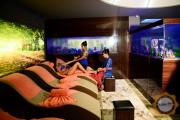 Caspian Salus Hamam Spa Wellness