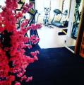 Gymnasium Personal Training Studio