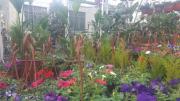HMZ GARDEN PEYZAJ PROJE UYGULAMA