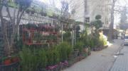 HMZ GARDEN PEYZAJ PROJE UYGULAMA