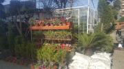 HMZ GARDEN PEYZAJ PROJE UYGULAMA