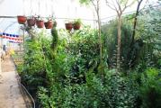 HMZ GARDEN PEYZAJ PROJE UYGULAMA