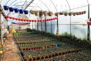 HMZ GARDEN PEYZAJ PROJE UYGULAMA