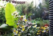 HMZ GARDEN PEYZAJ PROJE UYGULAMA