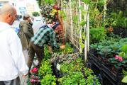 HMZ GARDEN PEYZAJ PROJE UYGULAMA