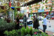 HMZ GARDEN PEYZAJ PROJE UYGULAMA