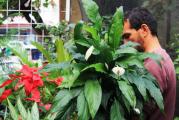 HMZ GARDEN PEYZAJ PROJE UYGULAMA