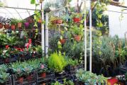 HMZ GARDEN PEYZAJ PROJE UYGULAMA
