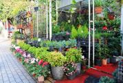 HMZ GARDEN PEYZAJ PROJE UYGULAMA