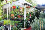 HMZ GARDEN PEYZAJ PROJE UYGULAMA