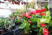 HMZ GARDEN PEYZAJ PROJE UYGULAMA