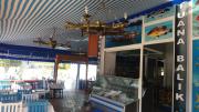 Tuana Balıkçılık- Fish Market Alanya