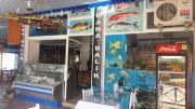 Tuana Balıkçılık- Fish Market Alanya