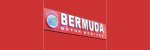 Bermuda Motor Bobinaj