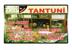 Davet Tantuni Alanya
