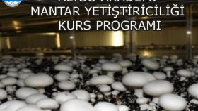 MANTAR YETİŞTİRİCİLİĞİ KURS PROGRAMI